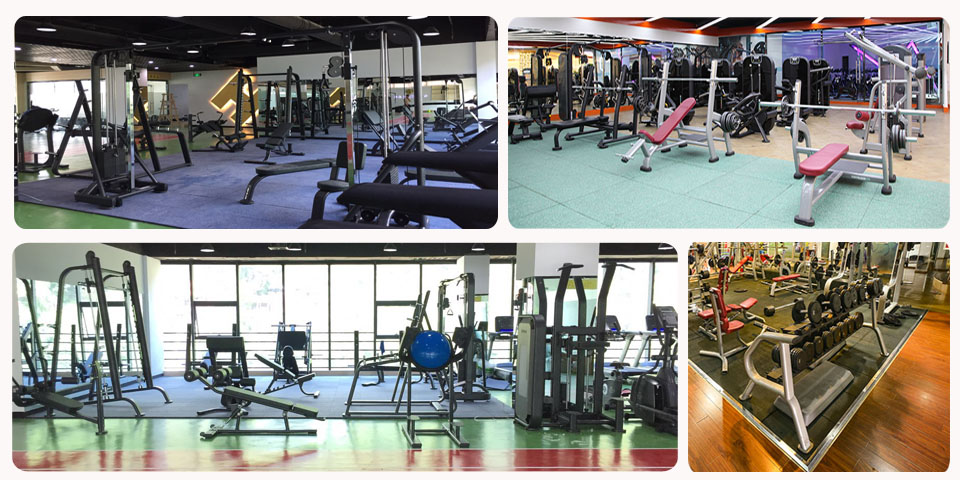 多宝电竞自由力量器械