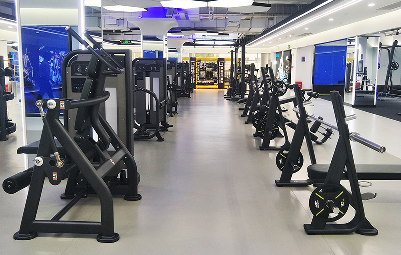 多宝电竞力量器械