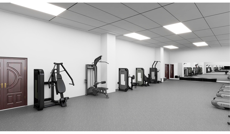 企事业单位健身房-力量器材 企事业单位健身房-力量器材